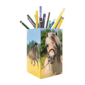 Pennenzak met paardenmotief