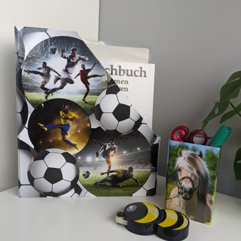 Toepassingsbeeld Pennenhouder Paarden en Staande verzamelaar Voetbal