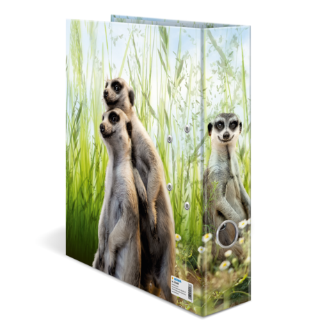 Zwei Erdmännchen stehen in einem grünen, grasbewachsenen Umfeld, während ein drittes Erdmännchen seitlich schaut.