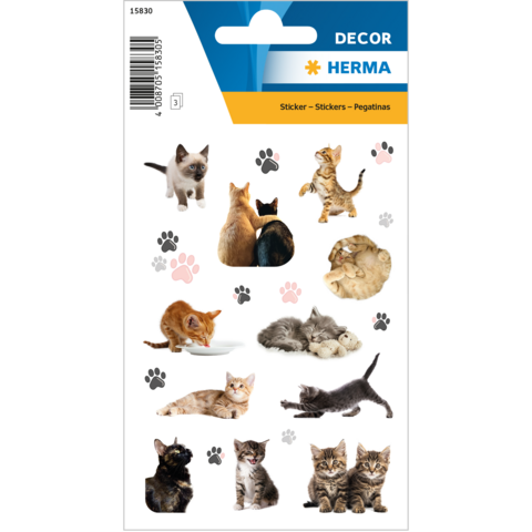 Kattenstickers in verschillende poses en kleuren, inclusief kittens en volwassen katten, op een decoratieve achtergrond.