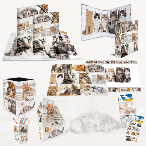 Een verzameling van kattenmotieven op verschillende kantoorartikelen, waaronder mappen, notitieblokken en een pennenhouder.