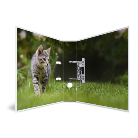 Een grijze kat loopt over groen gras terwijl ze voor een open deur staat.