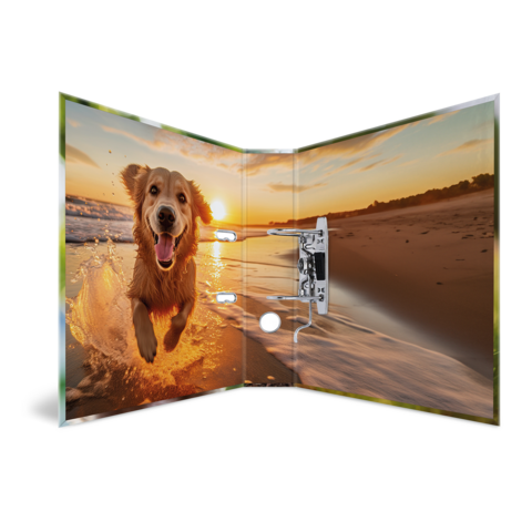 Een blije hond springt in het water, omringd door een schilderachtig kustlandschap bij zonsondergang.