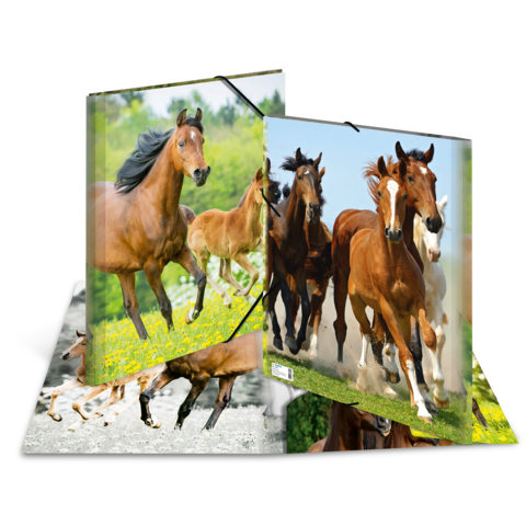 Mehrere Pferde laufen auf einer Wiese, einige sind braun, andere hell. Die Szene zeigt die Dynamik und Bewegung der Tiere.