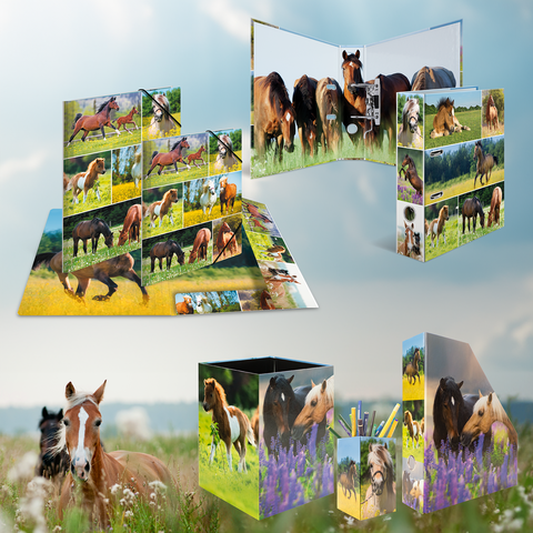 Verschillende schoolmaterialen met paardenmotieven, waaronder mappen, een etui en notitiebladen, omringd door een groene weide.