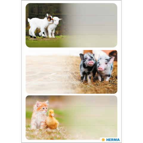 Zwei Ziegenkinder spielen, zwei kleine Schweine stehen auf Stroh und ein Kätzchen sitzt neben einem Entenküken.