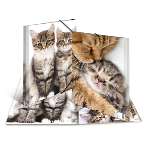 Ein Notizbuch mit Bildern von verschiedenen Katzen, darunter zwei stehende Kätzchen und eine schlafende Katze.