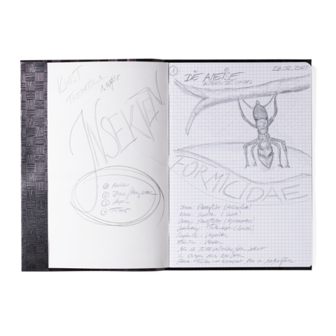 Notizbuchseite mit handschriftlichen Notizen über Insekten, einschließlich einer Zeichnung einer Ameise und dem Titel "Formicidae".