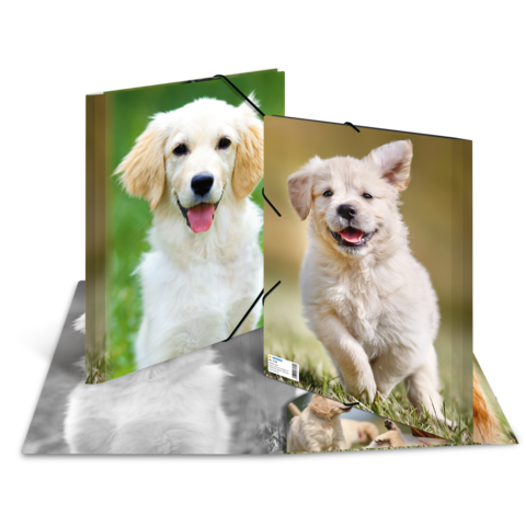 Zwei Ordner mit Bildern von Welpen, einer mit einem goldenen Retriever und der andere mit einem weißen, fröhlichen Welpen, auf einem neutralen Hintergrund.