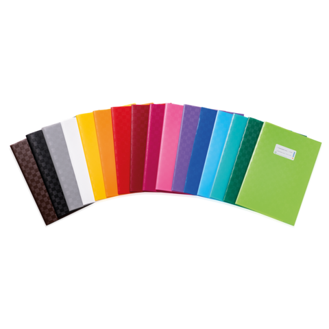 Bunte Ordner in verschiedenen Farben, angeordnet in einer Reihe, einschließlich Rot, Blau, Grün, Gelb und Schwarz.