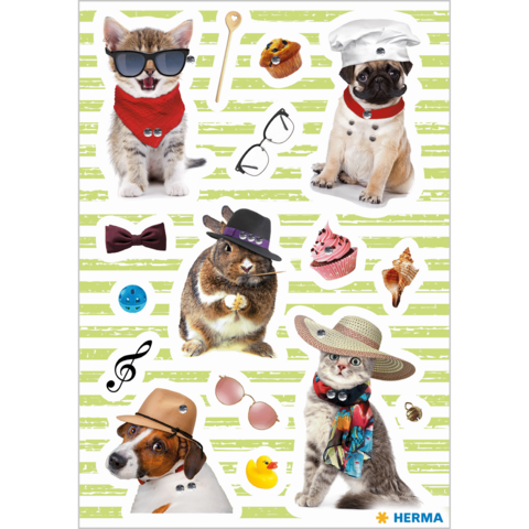 Katze en honden in verschillende leuke outfits en accessoires, waaronder zonnebrillen, hoeden en sjaals, op een gestreepte achtergrond.