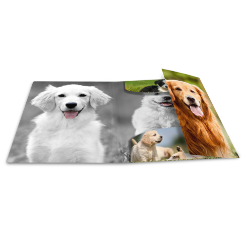 Ein aufgeschlagenes Fotobuch mit verschiedenen Hundefotos, darunter ein Golden Retriever, ein Labrador und ein Mischling.