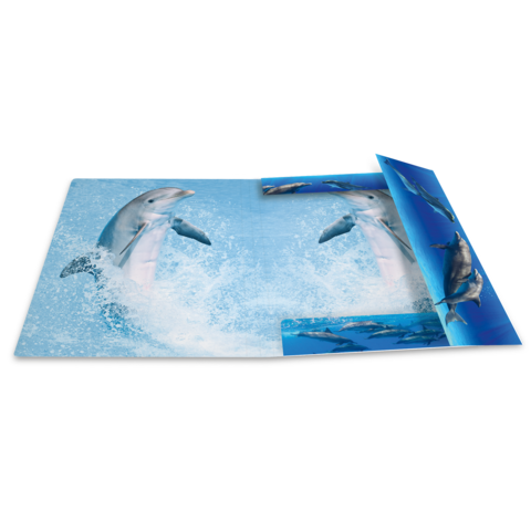 Ein aufgeschlagenes Buch mit Bildern von Delfinen, die aus dem Wasser springen, vor einem blauen Hintergrund.