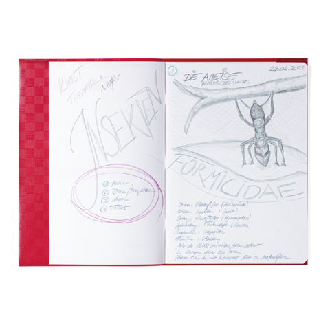 Skizze einer Ameise mit dem Titel "Die Ameisen" und Notizen zu Insekten, einschließlich einer Liste von Arten und Informationen.