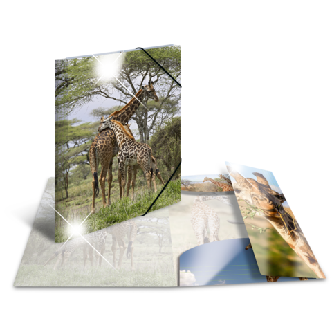 Drei Giraffen stehen in einer grünen Landschaft, während ein aufgeschlagenes Buch mit Tierbildern im Vordergrund zu sehen ist.