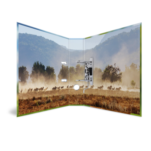 Een open boekpagina toont een landschap met een kudde wilde dieren die door een stoffige vlakte nabij bergen loopt.