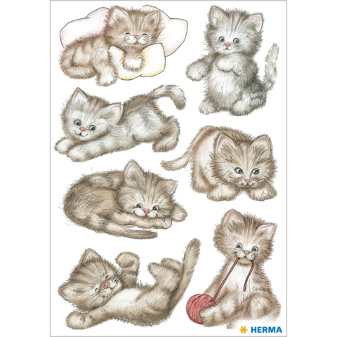 Eine Sammlung von niedlichen Kätzchen in verschiedenen Posen, darunter spielende, schlafende und neugierige Katzen.