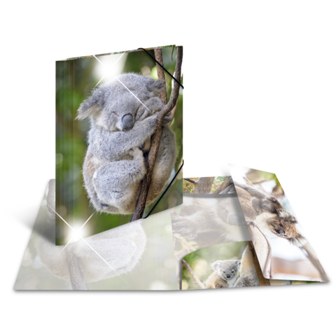 Ein Koala sitzt entspannt auf einem Baumzweig und umarmt den Stamm. Die Umgebung ist grün und natürlich.