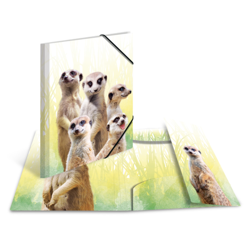 Sechs Erdmännchen stehen in einer Gruppe, einige schauen aufrecht, andere sitzen. Der Hintergrund zeigt sanfte, grüne Farbtöne.