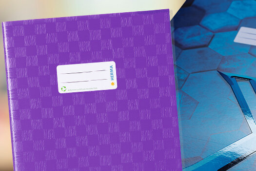 The translation of "Heftschoner mit Schulhintergrund" from German to Dutch is "Schriftomslag met schoolachtergrond.