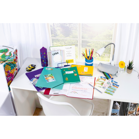 Ein Schreibtisch mit bunten Ordnern, Schreibmaterialien, einer Lampe und einer kleinen Blume. Im Hintergrund sind Fenster mit Tageslicht.