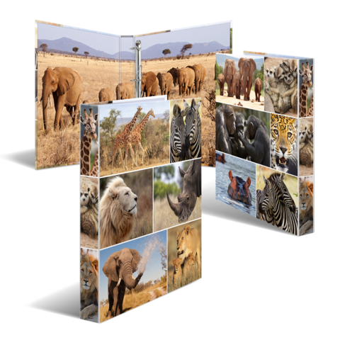 Tiermotive auf mehreren Fotobüchern, darunter Elefanten, Giraffen, Löwen und Zebras, in verschiedenen natürlichen Umgebungen.