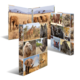Tiermotive auf mehreren Fotobüchern, darunter Elefanten, Giraffen, Löwen und Zebras, in verschiedenen natürlichen Umgebungen.