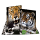 Ein aufklappbares Buch mit Bildern von einem Leoparden und einem Tiger, die beide in Nahaufnahme dargestellt sind.